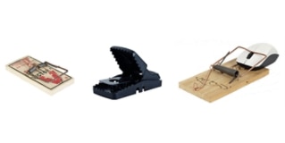 The Better Mouse Trap